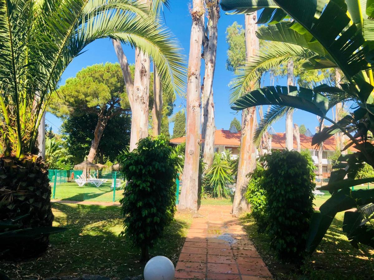 Boho Banus Recién Reformado